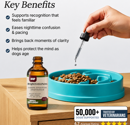 BrightNoblePaws | Supports CCD for adult dogs.