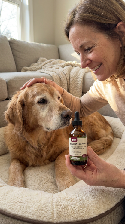BrightNoblePaws | Supports CCD for adult dogs.